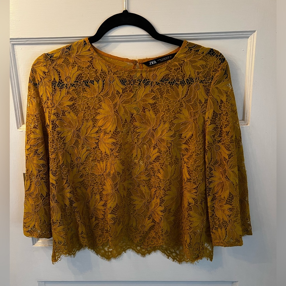 Zara lace cropped blouse - perfect fall piece with jeans